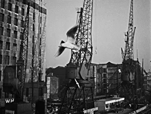 Cranes and warehouses on the River Thames Cranes and warehouses on the River Thames
