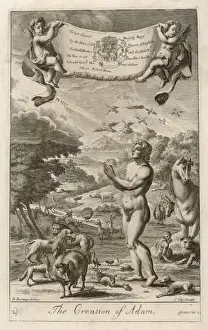 Renaissance Artwork For Sale Prints: Creation of Adam