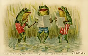 Anthropomorphic Frogs in Rushes Print