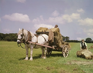 Crofters with horse and cart, Barra, Outer Hebrides Crofters with horse and cart, Barra, Outer Hebrides