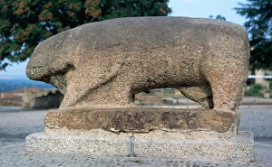 Culture of Verracos. Megalithic monument. Pre-romanic celtic Culture of Verracos. Megalithic monument. Pre-romanic celtic