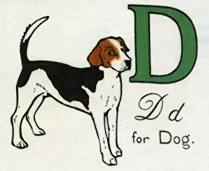 Vintage Dog Illustration Prints: D for Dog