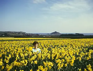 Prints of Young woman with daffodil fields in full bloom, and St Michaels Mount in the background, Marazion, Cornwall. circa 1980s Marazion Prints: Daffodil Fields Print, St Michaels Mount, Cornwall