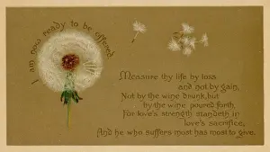 Dandelion Clock Print