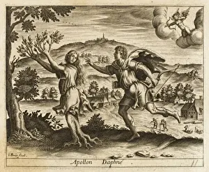 Daphne Fleeing Apollo Print