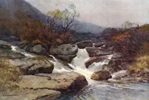 Devon Scenery Prints: Dartmoor Stream