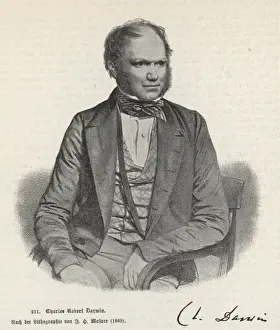 Evolution Theory Pioneers Prints: Darwin / 1849 / Masure
