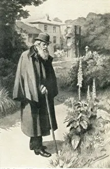 Darwin in his Garden Print, 1912