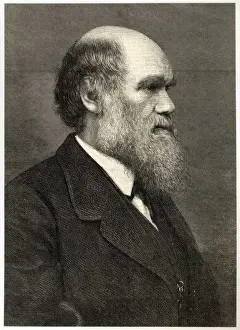 Charles Darwin Image Prints: Darwin / Profile / Eng