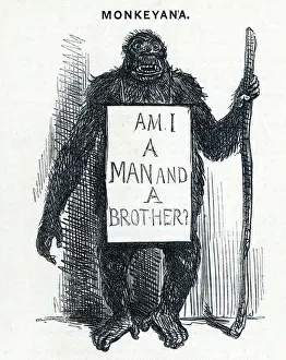 Print of satirical caricature mocking Darwin's theory