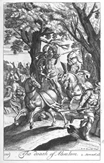Bible Illustrations Online Prints: David Absalom Samel