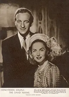 David Niven Prints: David Niven