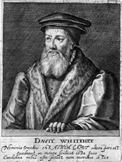 David Whitehead Print: 16th Century Protestant Churchman