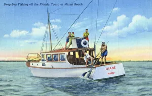 Deep sea fishing (capturing a blue marlin) off Miami Deep sea fishing (capturing a blue marlin) off Miami