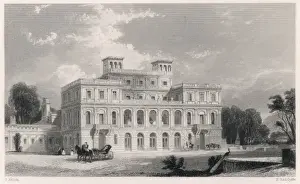 DEEPDENE Peacock and carriage Print