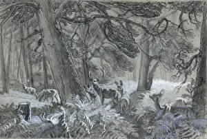 Raymond Sheppard Artwork Prints: Deer in the forest