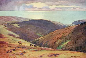 Prints of Hunting red deer in the Vale of Porlock, Exmoor, Somerset. Date: 1922 Somerset Prints: Exmoor Red Deer Hunt Print, 1922