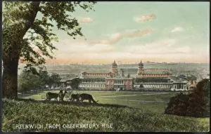 Royal Naval College Prints: Deer on Observatory Hill