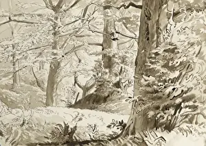 Raymond Sheppard Artwork Prints: Dense foliage on Stanmore Common