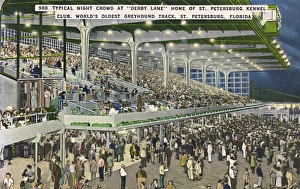 Derby Lane greyhound track, St Petersburg, Florida, USA Derby Lane greyhound track, St Petersburg, Florida, USA