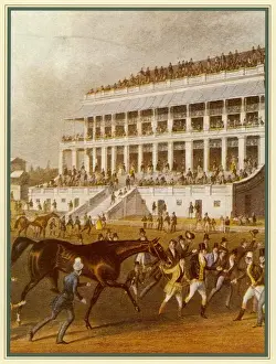 Derby Winner Prints: The Derby Winner