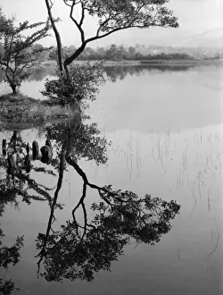 Derwent Water England Prints: Derwentwater Reflections
