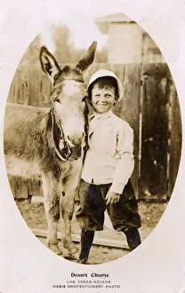 Desert Chums, boy and donkey, Las Vegas, Nevada, USA Desert Chums, boy and donkey, Las Vegas, Nevada, USA
