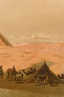 Egyptian Desert Scene Prints: Desert Scene - Egypt