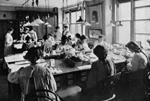 The Design Department of Raphael Tuck & Sons The Design Department of Raphael Tuck & Sons