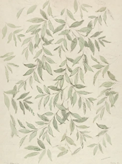 Design for Wallpaper with grey leaves Design for Wallpaper with grey leaves