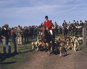 Devon and Somerset huntsmen and staghounds Devon and Somerset huntsmen and staghounds