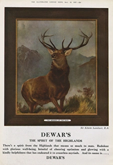 Dewars advert - The Monarch of the Glen Dewars advert - The Monarch of the Glen