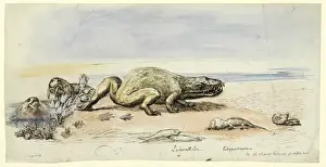 Crystal Palace Dinosaurs Prints: Dicynodon, Labyrinthodon, Rhynchosaurus