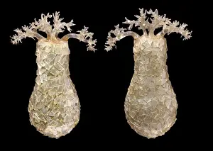 Prints of A glass model of amoebae, created by Leopold and Rudolf Blaschka in the late nineteenth century and held at the Natural History Museum, London Natural History Museum Prints: Glass Amoeba Print, Natural History Museum