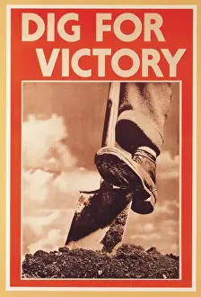 WW2 Poster Prints: Dig For Victory