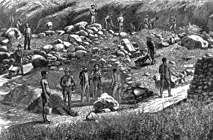 South Africa History Prints: Diggers at work in the Transvaal gold fields