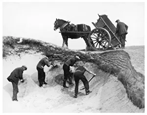Prints of Men busy preparing the 8th bunker at Princes golf course, Sandwich, Kent, in readiness for the Open Championship in June Related Image Prints: Golf Course Bunker Preparation Print