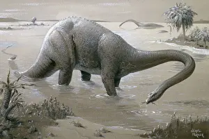 Dinosaur Prints: Diplodocus Print: A 26 Metre Long Jurassic Giant
