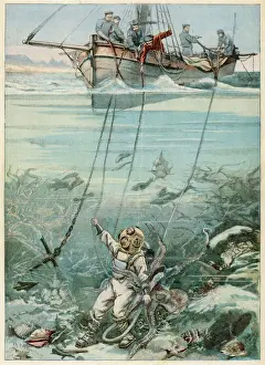 Cape Town Prints: Diver and Octopus Print