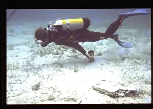 Scuba Diving Equipment Prints: Diver on the seabed