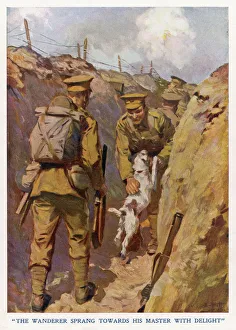 Dog and owner reunited in the trenches, France Dog and owner reunited in the trenches, France