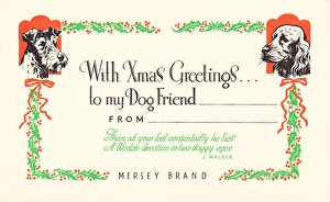 Two dogs with holly on a Christmas card Two dogs with holly on a Christmas card