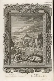Christian Art Prints: Dogs Return to Vomit