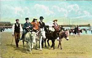 Donkeys on the Sands, Scarborough, Yorkshire Donkeys on the Sands, Scarborough, Yorkshire
