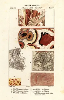 Dotted agate, spotted agate, eyed agate, etc Dotted agate, spotted agate, eyed agate, etc
