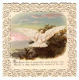 Circa 1890s Dove in Flight Print with Lacy Border