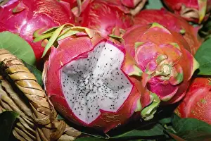 Dragon Fruit Prints: Dragon Fruit
