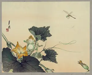 Dragonfly and Pumpkin Print, Late 19th-Early 20th Century
