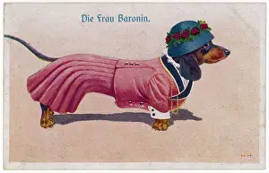 Well Dressed Dachshund Print