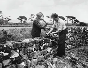 Yorkshire Dry Stone Walling Print